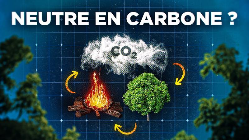 Featured image of post Bois : son véritable impact climatique