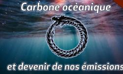 Featured image of post Cycle du carbone océanique et devenir de nos émissions