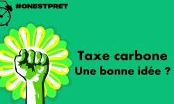 Featured image of post Des gestes individuels à l'action politique: militer pour une taxe carbone ?