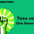 Des gestes individuels à l'action politique: militer pour une taxe carbone ?