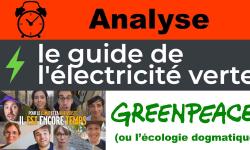 Featured image of post Électricité verte selon Greenpeace : l'écologie dogmatique