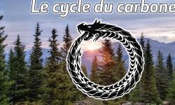 Featured image of post Le cycle du carbone