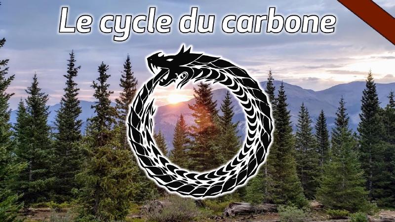 Featured image of post Le cycle du carbone