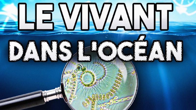 Featured image of post Pourquoi la vie galère dans l'océan ?